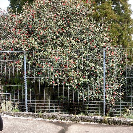体験型農家民泊「お陽さまと風」 Apartman Bungoono Kültér fotó
