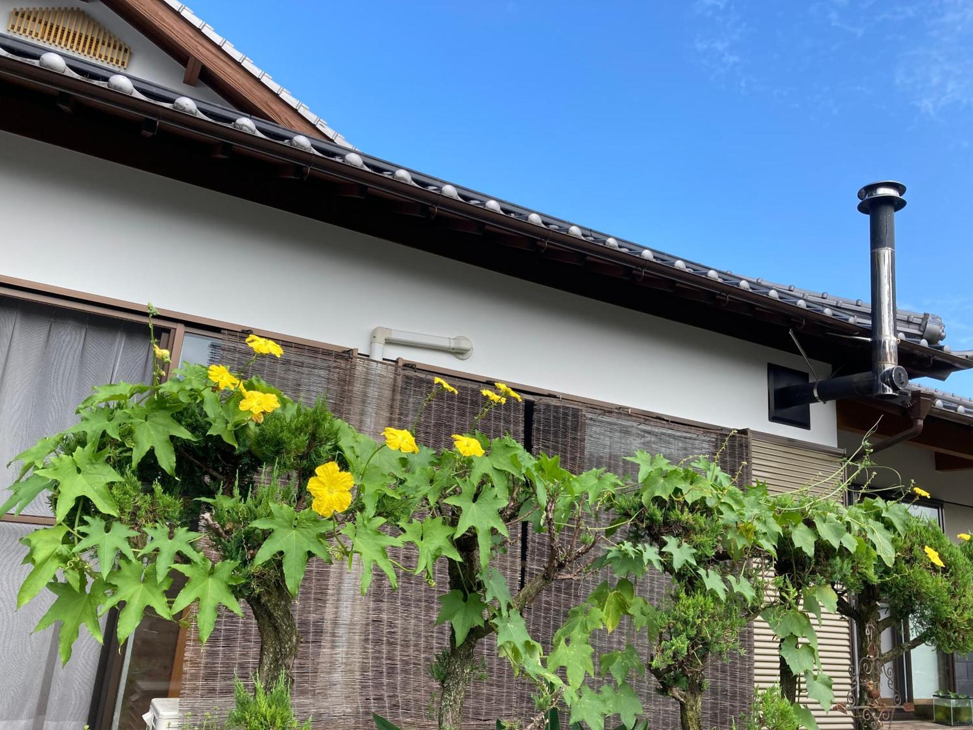 体験型農家民泊「お陽さまと風」 Apartman Bungoono Kültér fotó